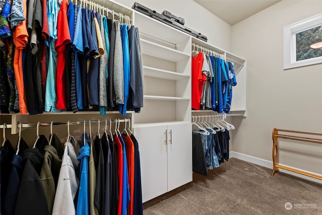 spacious closet featuring carpet flooring