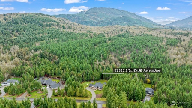 28330 318th Dr SE, Ravensdale, WA 98051 - view of property location with a forest, a mountain backdrop, and property boundaries highlighted