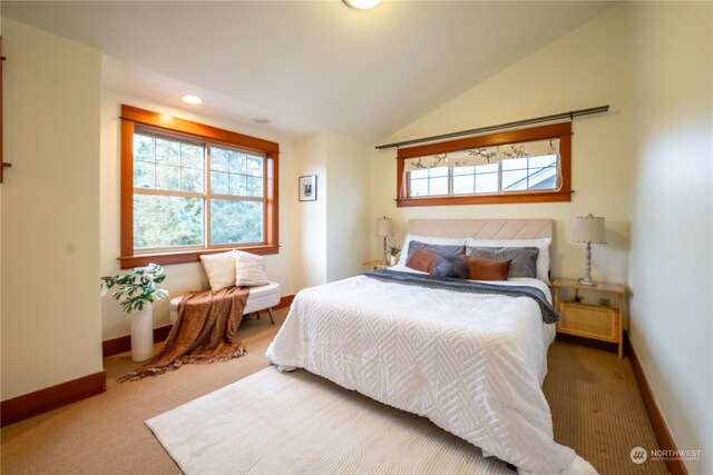 bedroom featuring carpet flooring and lofted ceiling