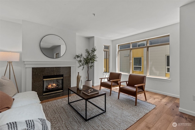 living room featuring hardwood / wood-style flooring