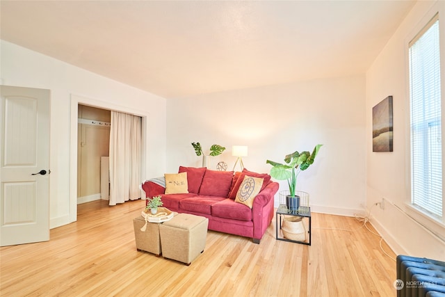 living room featuring radiator, light hardwood / wood-style floors, and a healthy amount of sunlight