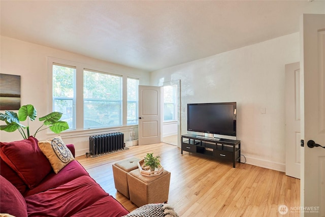 905 NE 43rd St Unit 108, Seattle, WA 98105 - living area with radiator, wood finished floors, and baseboards