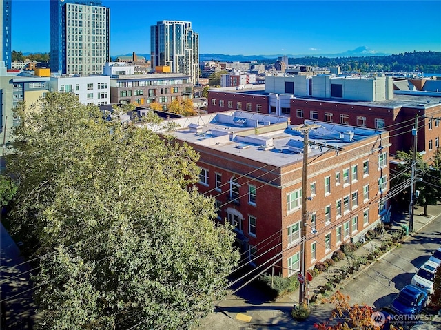 905 NE 43rd St Unit 108, Seattle, WA 98105 - view of city