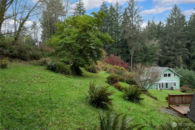 view of yard with a wooden deck