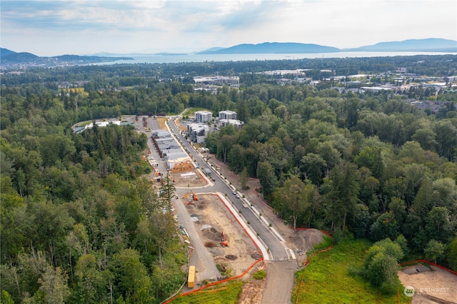 birds eye view of property with a mountain view