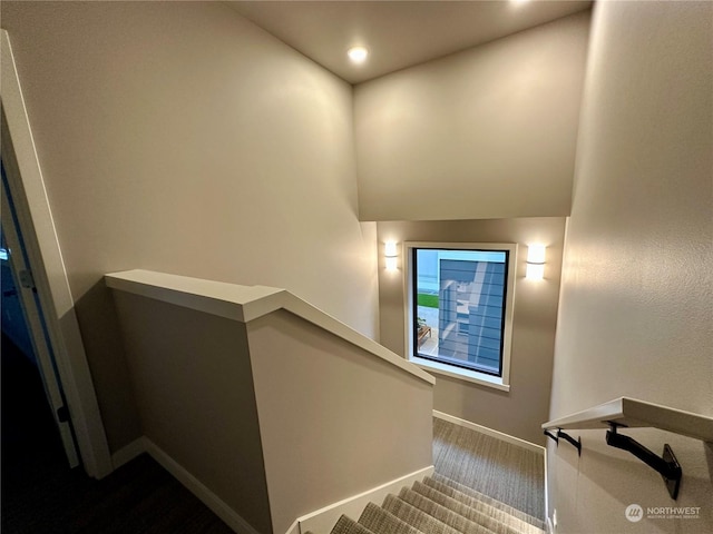 staircase featuring carpet flooring