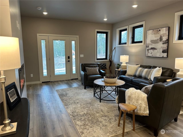 living room featuring wood-type flooring