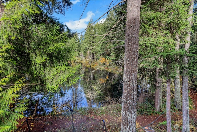 22222 Bluewater Dr SE, Yelm, WA 98597 - water view