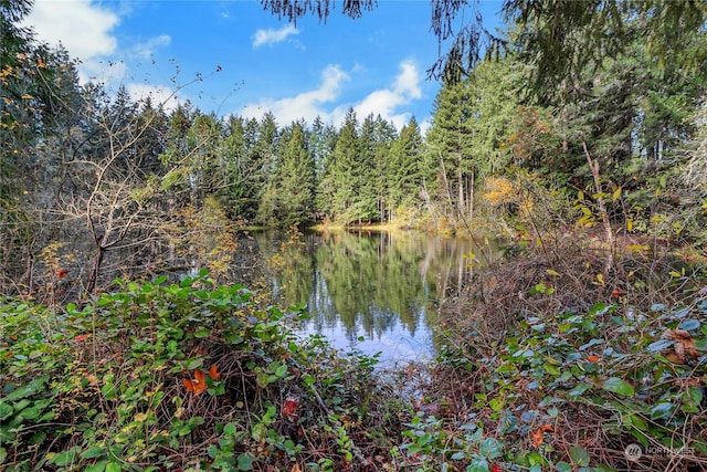 22222 Bluewater Dr SE, Yelm, WA 98597 - water view with a forest