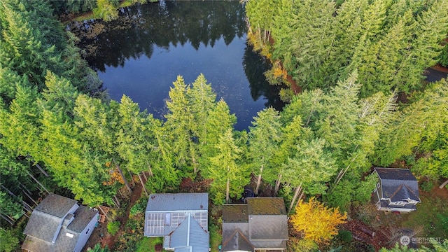 22222 Bluewater Dr SE, Yelm, WA 98597 - aerial view of a large body of water