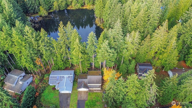 22222 Bluewater Dr SE, Yelm, WA 98597 - aerial view of a nearby body of water and a heavily wooded area