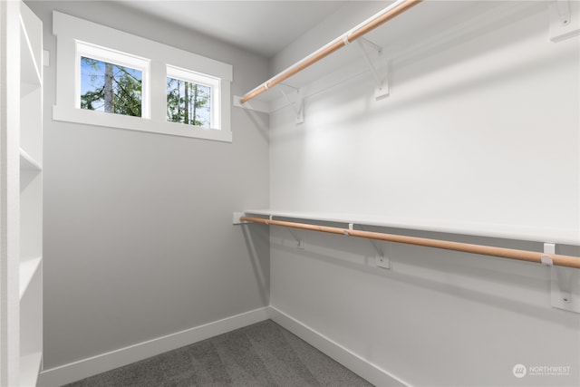 spacious closet featuring dark carpet