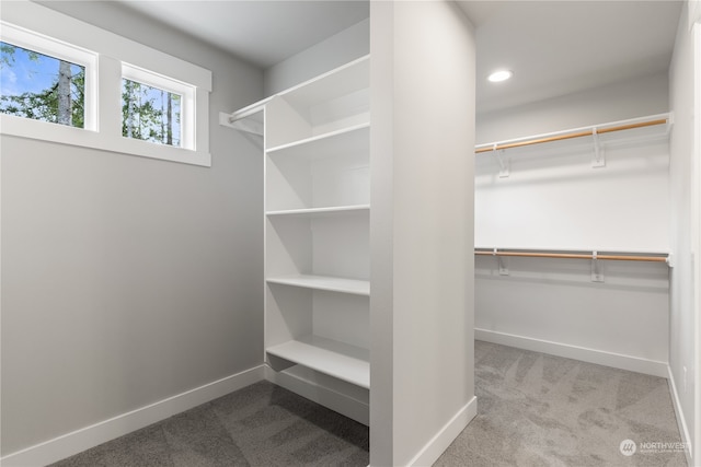 walk in closet with carpet floors