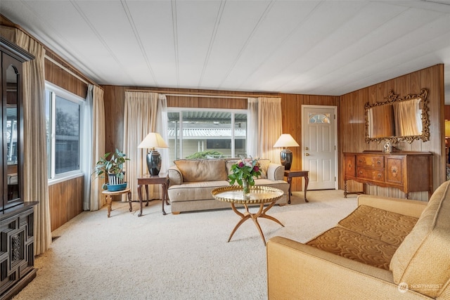 living room with carpet flooring and wood walls