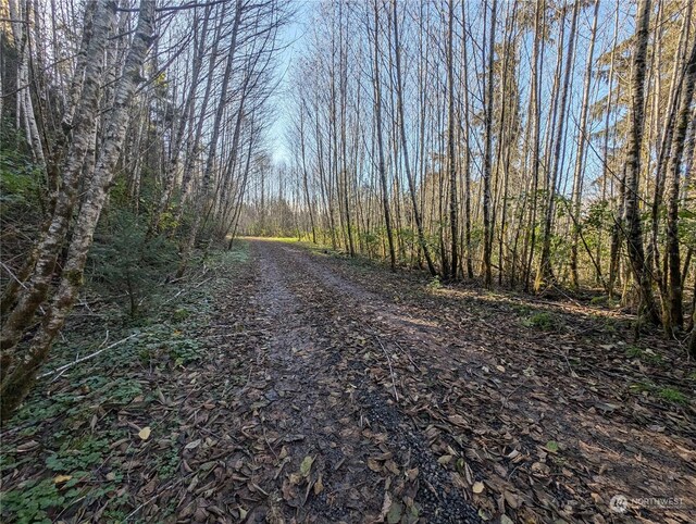 999 Whitcomb-Dimmel Rd, Forks, WA 98331