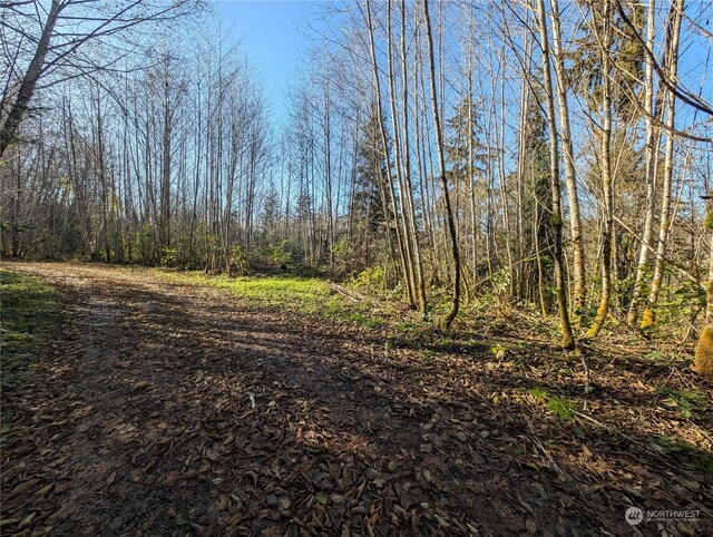 999 Whitcomb-Dimmel Rd, Forks, WA 98331