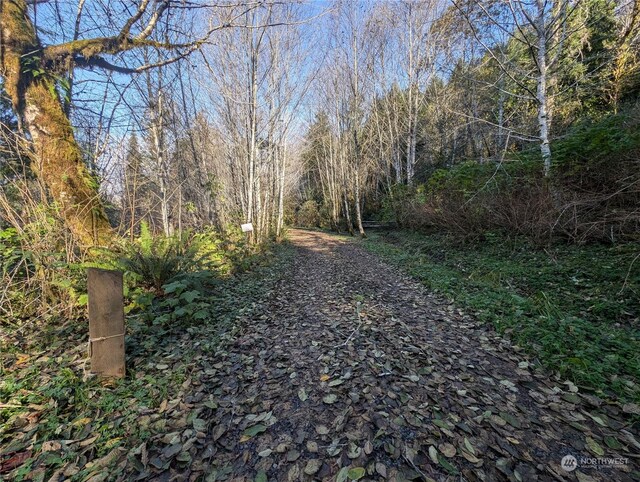 999 Whitcomb-Dimmel Rd, Forks, WA 98331