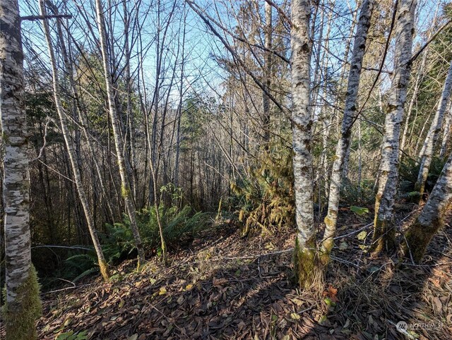 999 Whitcomb-Dimmel Rd, Forks, WA 98331