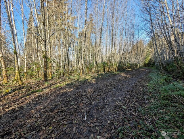 999 Whitcomb-Dimmel Rd, Forks, WA 98331