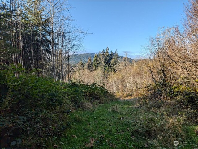 999 Whitcomb-Dimmel Rd, Forks, WA 98331