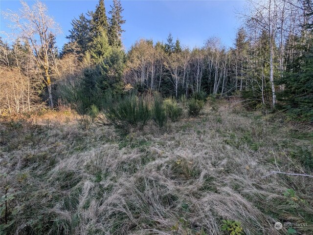 999 Whitcomb-Dimmel Rd, Forks, WA 98331