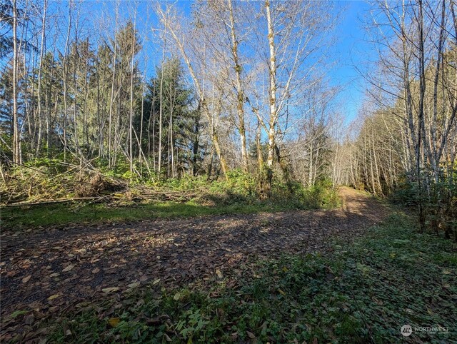 999 Whitcomb-Dimmel Rd, Forks, WA 98331