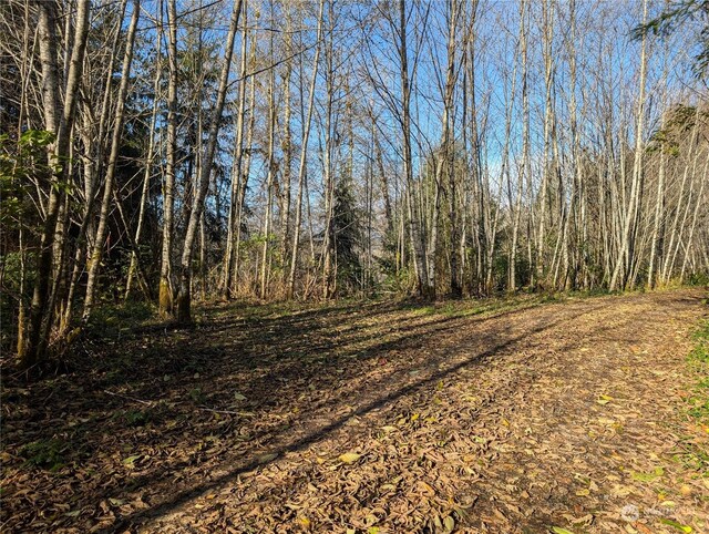 999 Whitcomb-Dimmel Rd, Forks, WA 98331