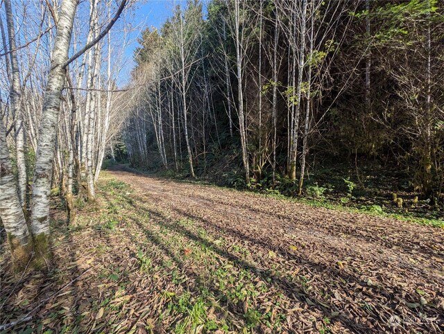 999 Whitcomb-Dimmel Rd, Forks, WA 98331