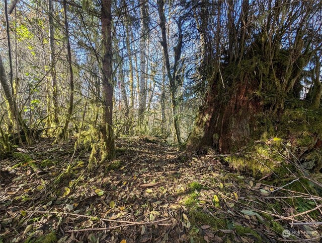 999 Whitcomb-Dimmel Rd, Forks, WA 98331