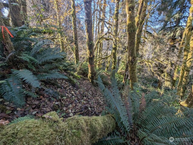 999 Whitcomb-Dimmel Rd, Forks, WA 98331