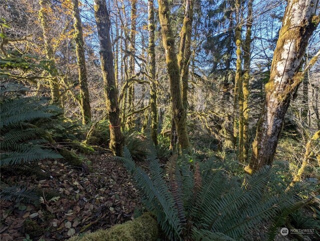 999 Whitcomb-Dimmel Rd, Forks, WA 98331