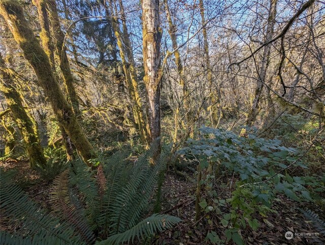 999 Whitcomb-Dimmel Rd, Forks, WA 98331