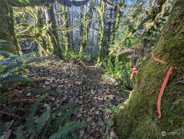 999 Whitcomb-Dimmel Rd, Forks, WA 98331