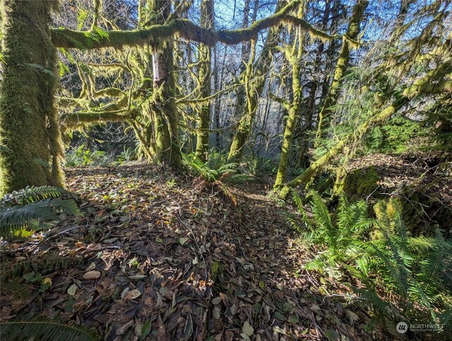999 Whitcomb-Dimmel Rd, Forks, WA 98331