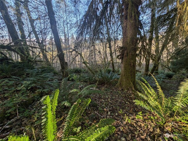 999 Whitcomb-Dimmel Rd, Forks, WA 98331