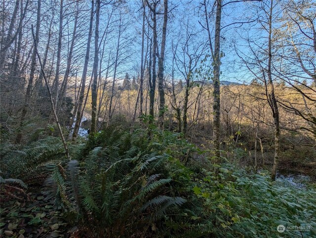 999 Whitcomb-Dimmel Rd, Forks, WA 98331