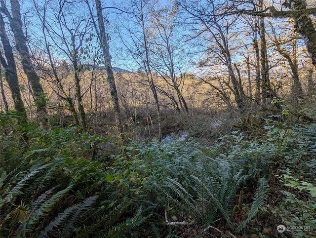 999 Whitcomb-Dimmel Rd, Forks, WA 98331