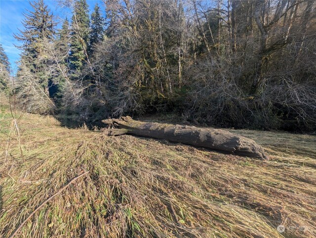 999 Whitcomb-Dimmel Rd, Forks, WA 98331