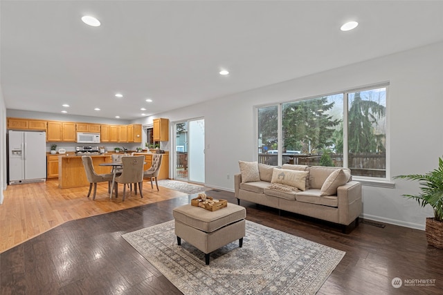 living room featuring wood-type flooring