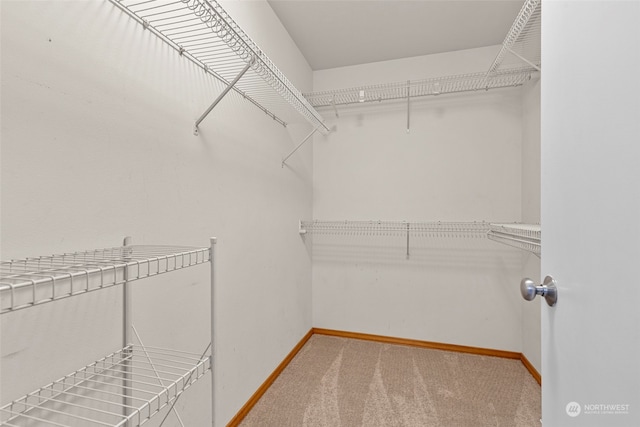 spacious closet with carpet flooring