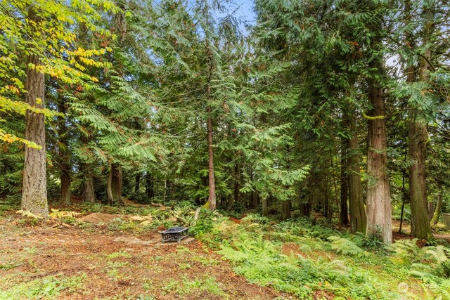 7698 Westerly Ln NE, Bainbridge Island, WA 98110 - photo 17