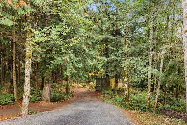 7698 Westerly Ln NE, Bainbridge Island, WA 98110 - photo 18