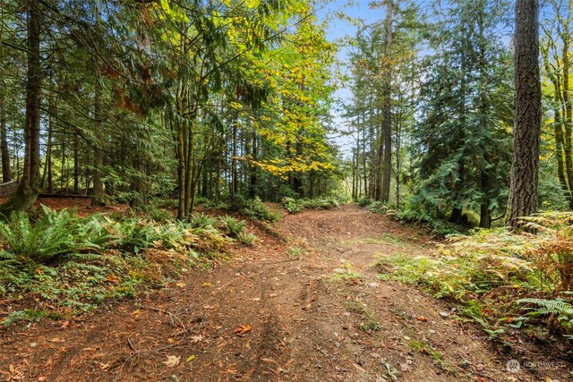 7698 Westerly Ln NE, Bainbridge Island, WA 98110 - photo 19