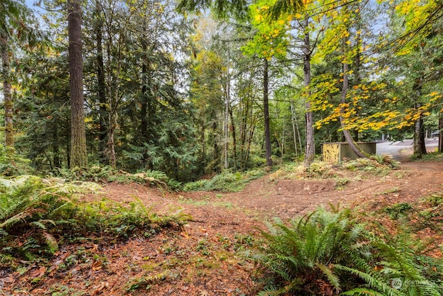 7698 Westerly Ln NE, Bainbridge Island, WA 98110 - photo 20