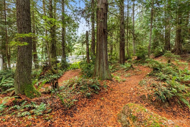 7698 Westerly Ln NE, Bainbridge Island, WA 98110 - photo 21