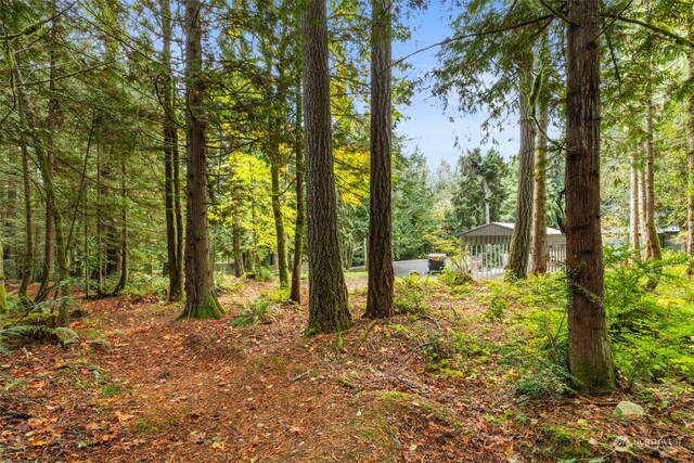 7698 Westerly Ln NE, Bainbridge Island, WA 98110 - photo 22