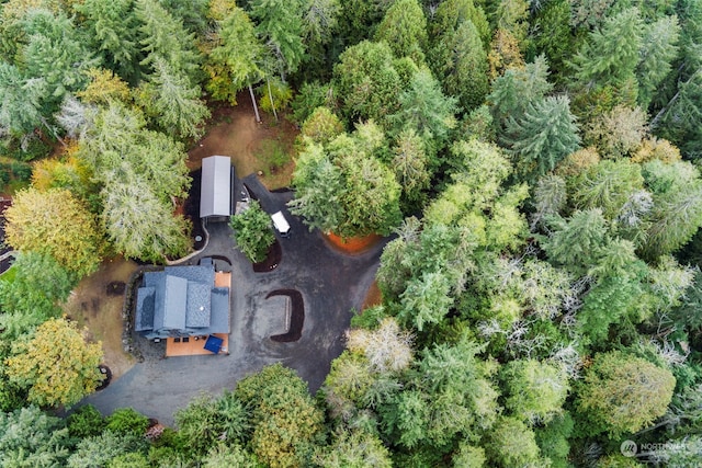 7698 Westerly Ln NE, Bainbridge Island, WA 98110 - photo 23