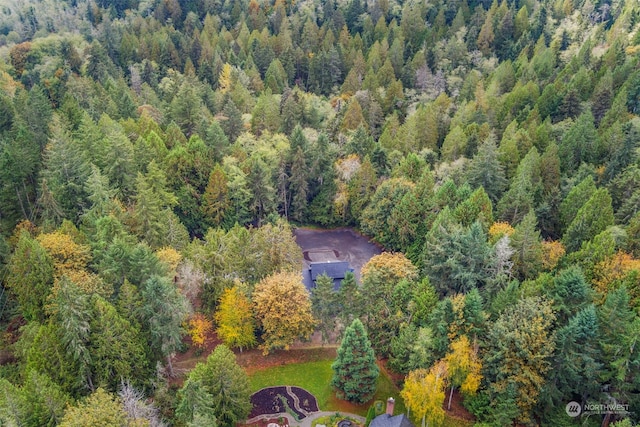 7698 Westerly Ln NE, Bainbridge Island, WA 98110 - photo 27