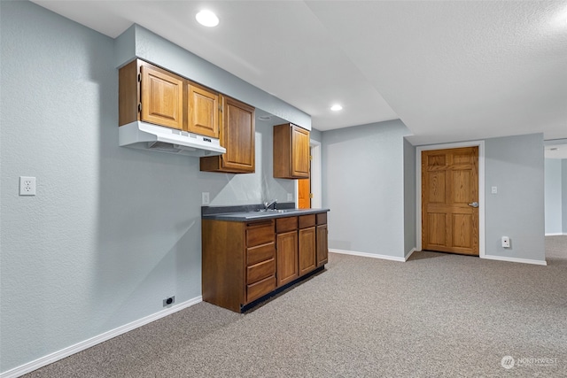 kitchen with sink and light colored carpet