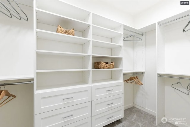 spacious closet with carpet floors